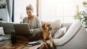 woman-working-computer-dog