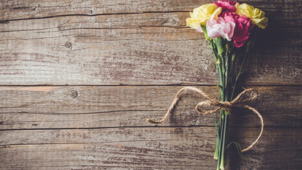 Carnation flowers on wooden table