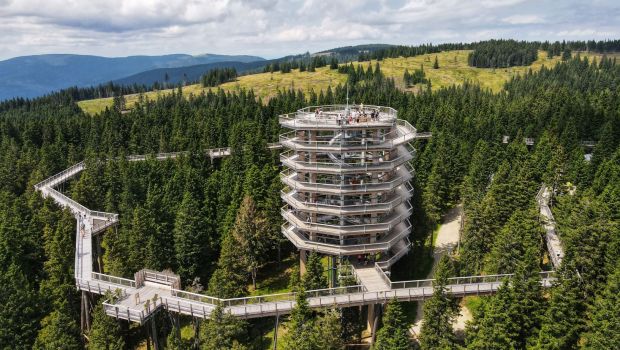 Pot med krosnjami Pohorje Slovenia