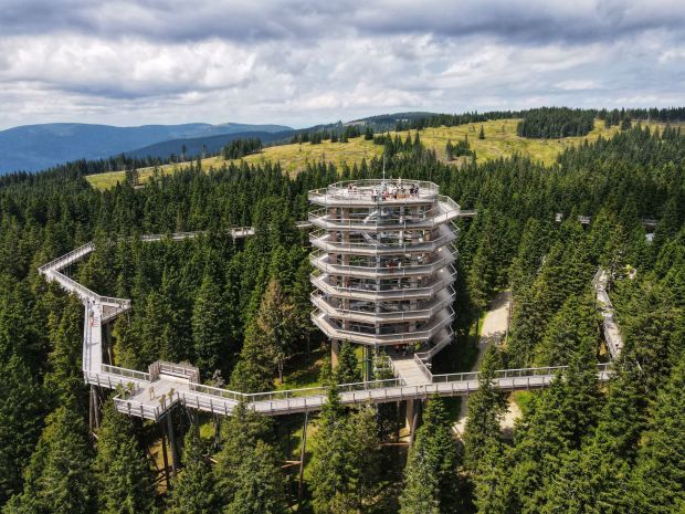 Pot med krosnjami Pohorje Slovenia