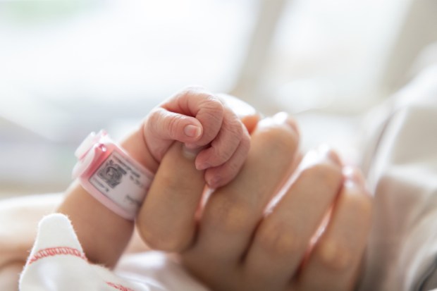 Bebê recém-nascido segura nas mãos da mãe