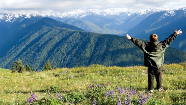Hurricane Ridge, Olympic national park, Washington