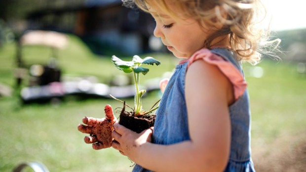 Small girl with dirty hands outdoors in garden