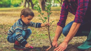Little boy helping his father to plant the tree