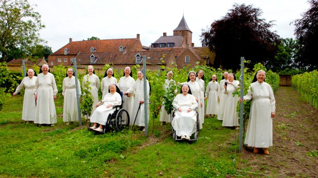 Norbertanki z klasztoru Sint Catharinadal w swojej winnicy