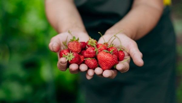 woman holding berries