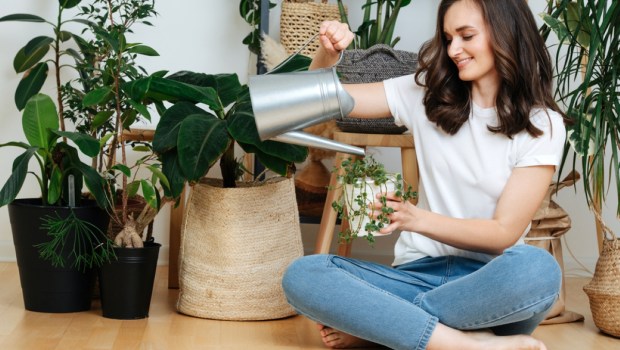 A woman sitting on the floor pours water into a flower pot