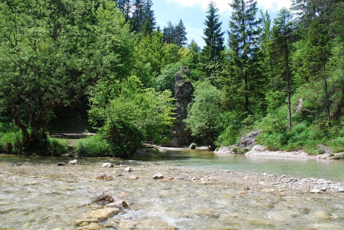 Iski vintgar