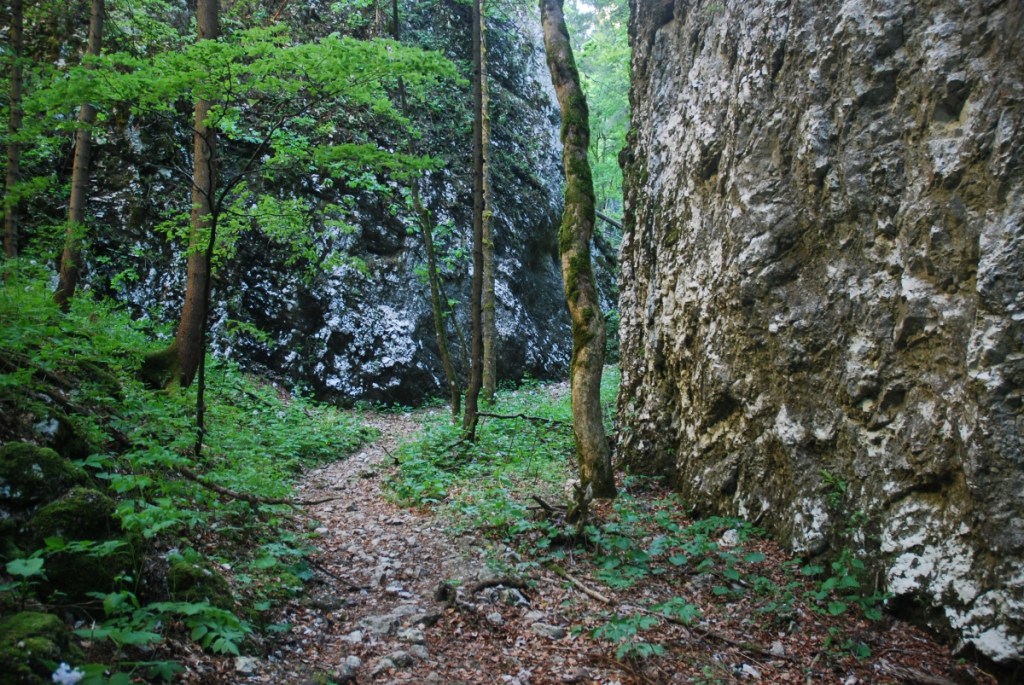 Pokljuska soteska