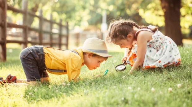 girl and boy looking at plants grass in park through magnifying glass