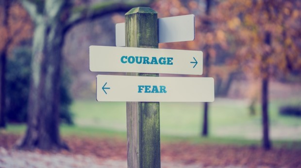rustic wooden sign in an autumn park with the words Courage - Fear