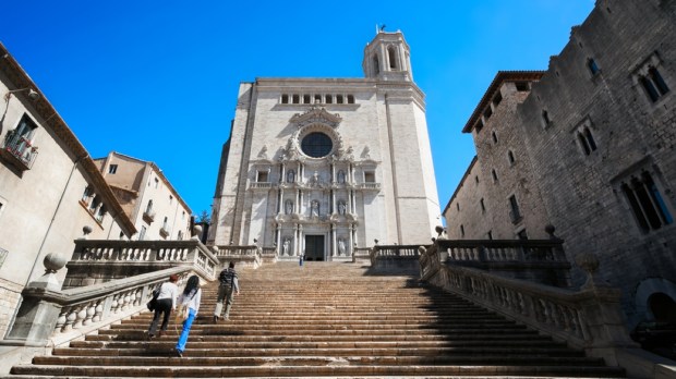 View of Girona Cathedral. Catalonia. Spain.