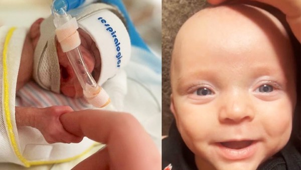 Krysten Risbon; Zaylan