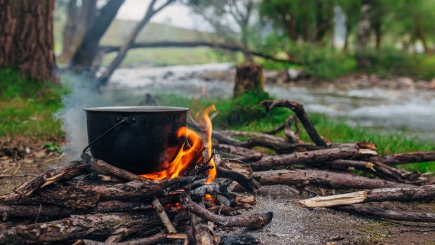 Cooking scout