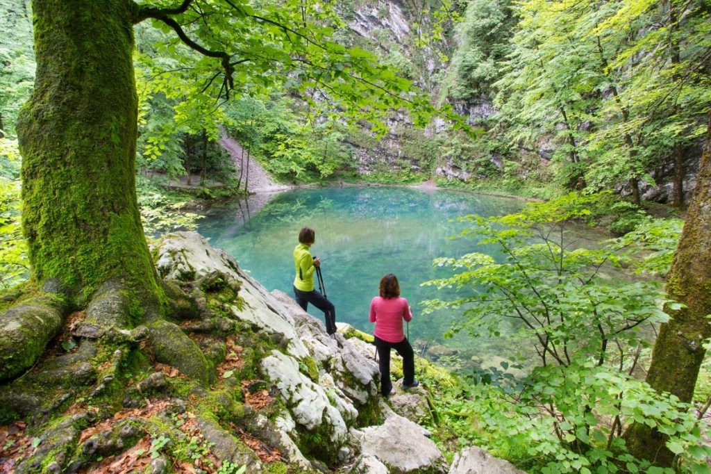 Divje jezero