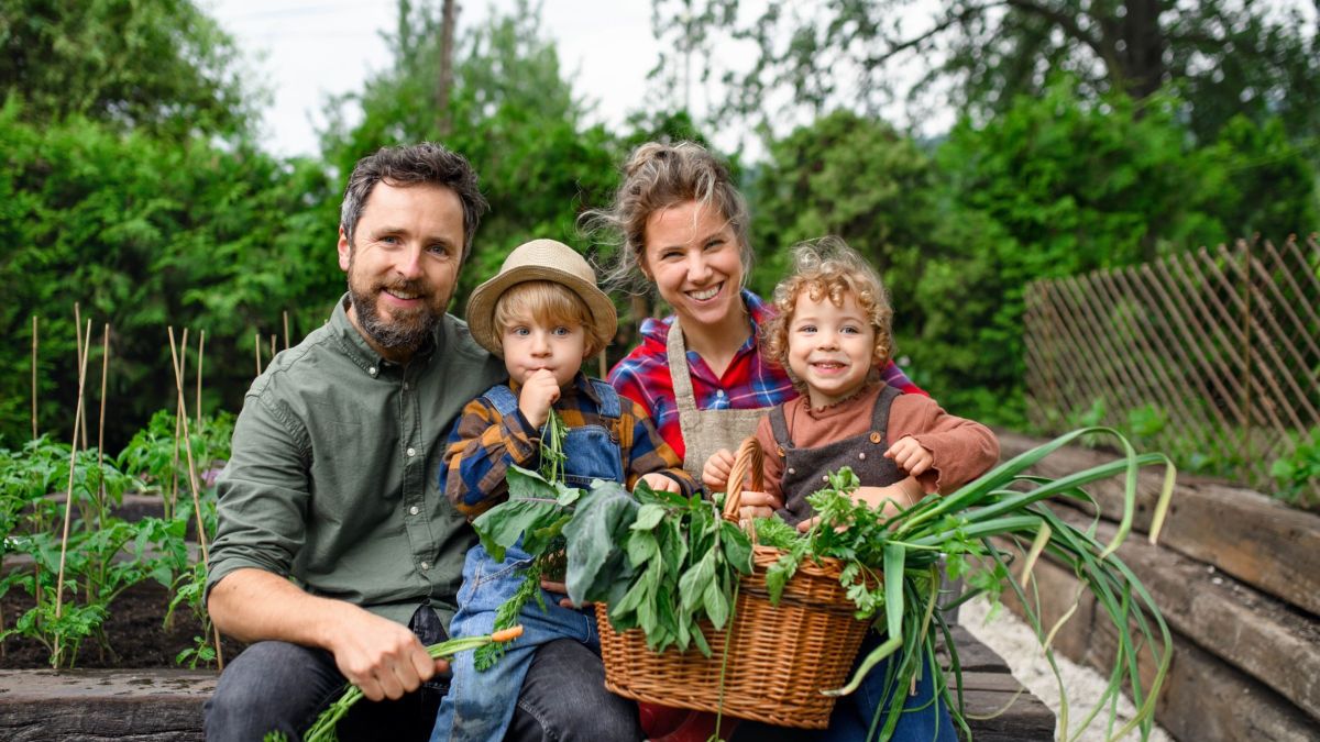 Family garden vegetables