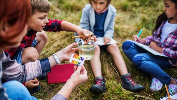 Kids study outside