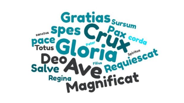 Nauge de mots loc latines