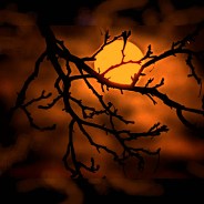 Stickers Item image #2