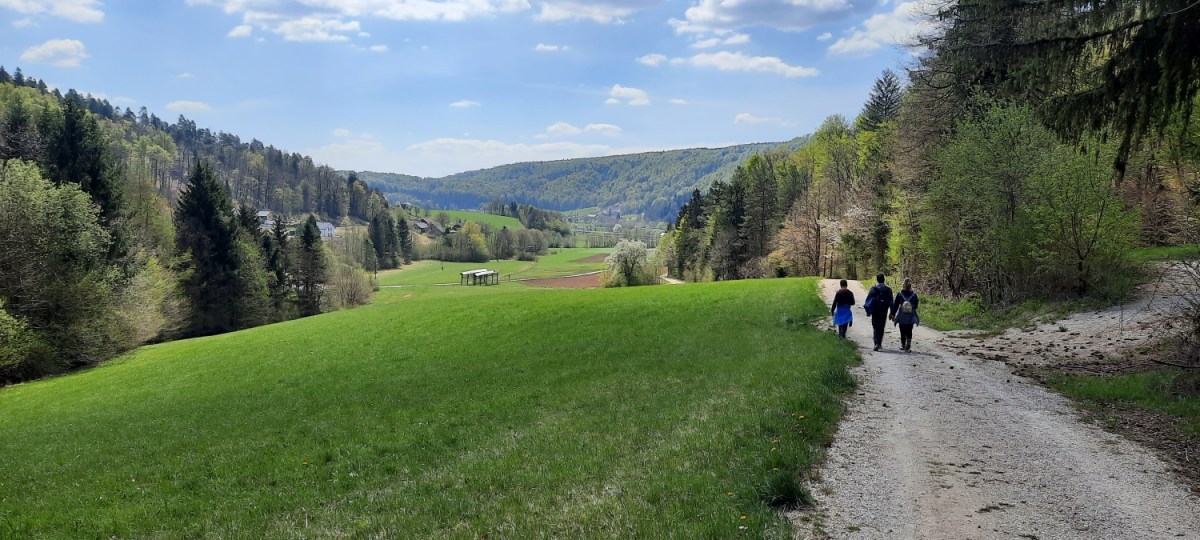 Visnja Gora, slap Kosca