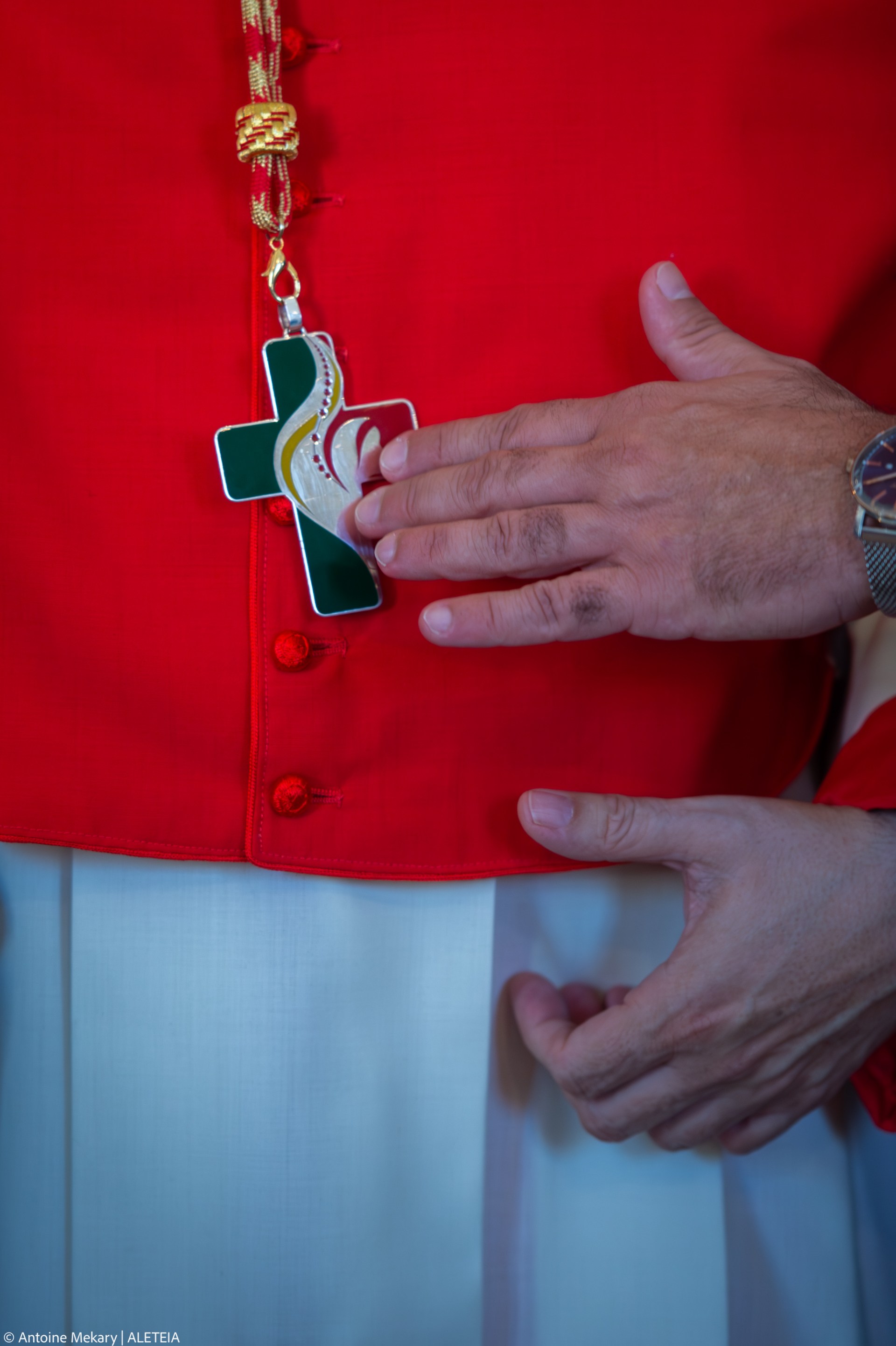 Newly elevated cardinal, Portuguese bishop of Setubal Americo Manuel Alves Aguiar