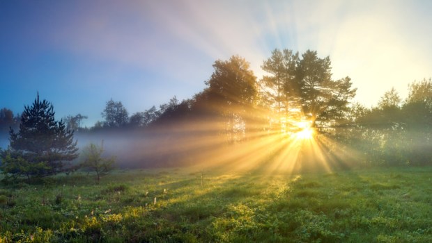 beautiful panorama landscape with sun and forest and meadow at sunrise