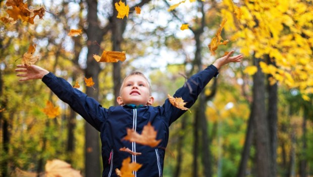 Boy playing with fallen autumn leaves