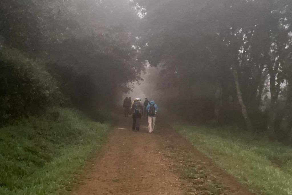 Camino de Santiago