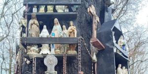 Mogočno drevo v Franciji, kjer domujejo številne Marijine podobe