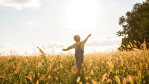 child walks in a yellow meadow on a sunny summer day