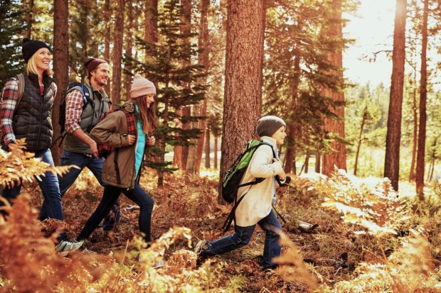Family hiking in forest in autumn