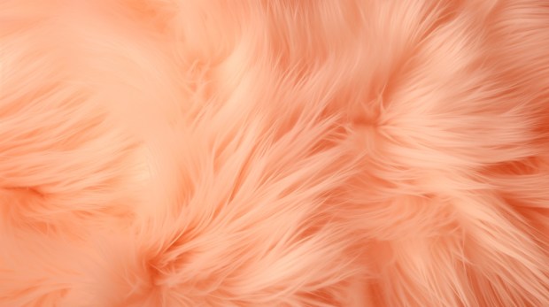 peach fuzz