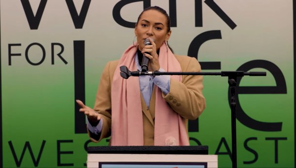 Kaya Jones Pussycat Dolls