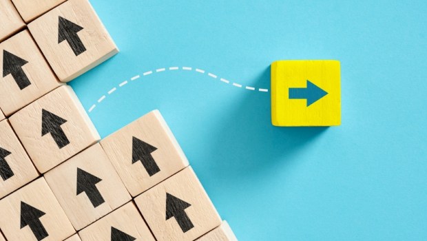 Leadership, individuality, difference and standing out from the crowd