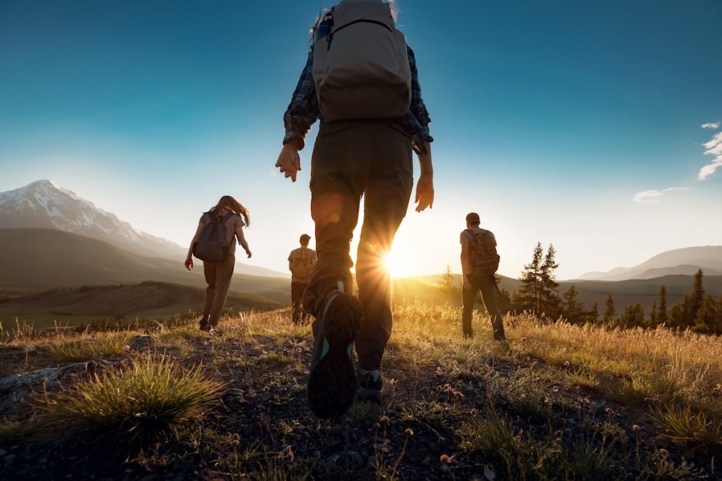 Group of sporty people walks in mountains at sunset with backpacks. Altai mountains, Siberia, Russia. | traveler,dusk,high,mountain,fitness,action,group,exploration,journey,active,hike,girl,friends,adventure,outside,person,vacations,backpacking,silhouette,dawn,trekkers,sunrise,woman,activity,trekking,weekend,back,tourism,endurance,holiday,summer,tourist,backpacker,walking,man,hiker,leisure,together,nature,hiking,team,lifestyle,outdoor,healthy,backpack,sunset,travel,sport,walk