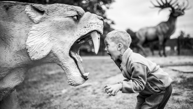 Boy shouting at the artificial saber-toothed tiger