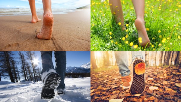 Walking through the four seasons