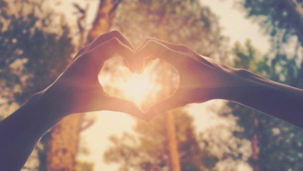 hands in shape of love heart