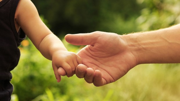 the parent holds the hand of a small child