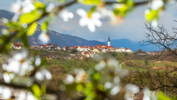 PR Združenje zgodovinskih mest Slovenije