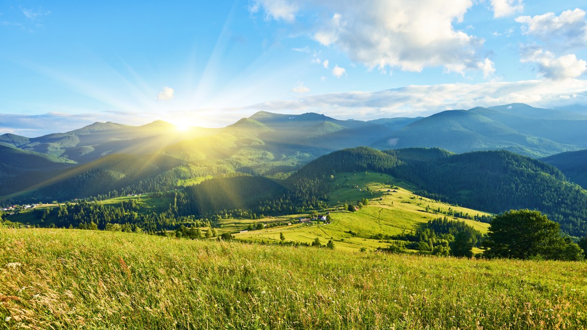 paysage.jpg