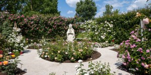 Obiščite Arboretum Volčji Potok in se sprehodite po dišečem Rožnem vrtu papeških vrtnic