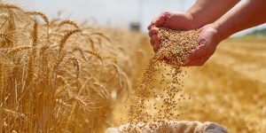 Kako nas evharistija spominja, naj se zahvalimo za stvarstvo 