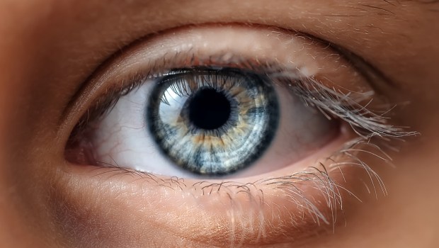 Blue Macro eye close up