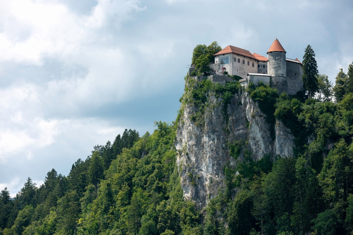 Fotografije, ki jih je ustvarila Petra Kic