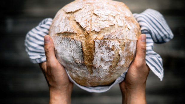 Traditional leavened sourdough bread in baker hands on a rustic wooden table