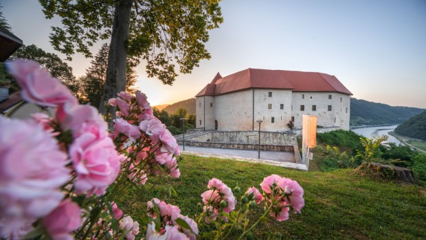 Rajhenburg