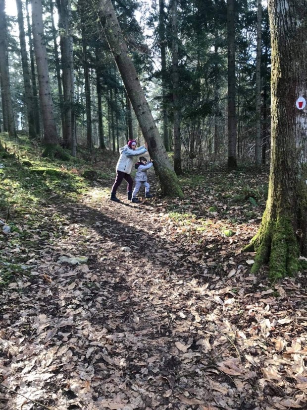 Ana Hribar Podkrajšek