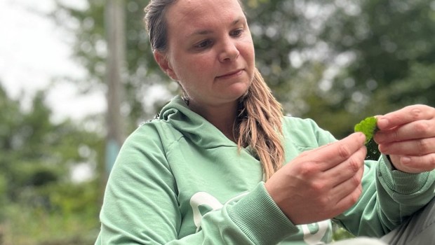 Ana Hribar Podkrajšek