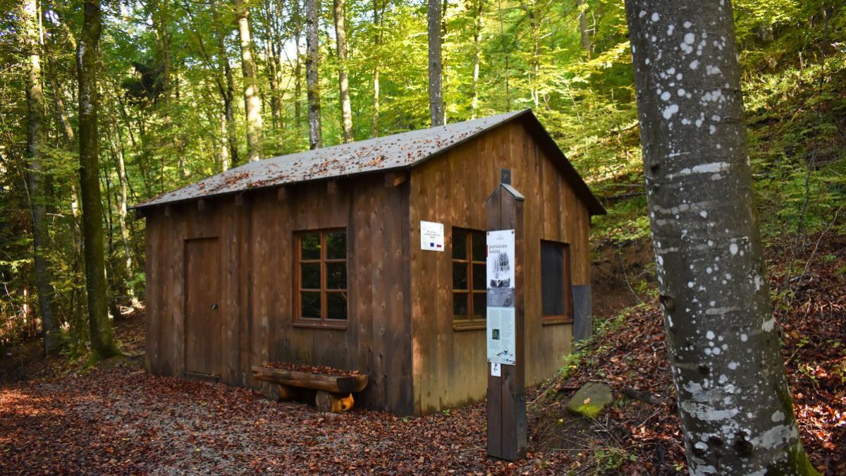 Partizanska bolnišnica Zalesje